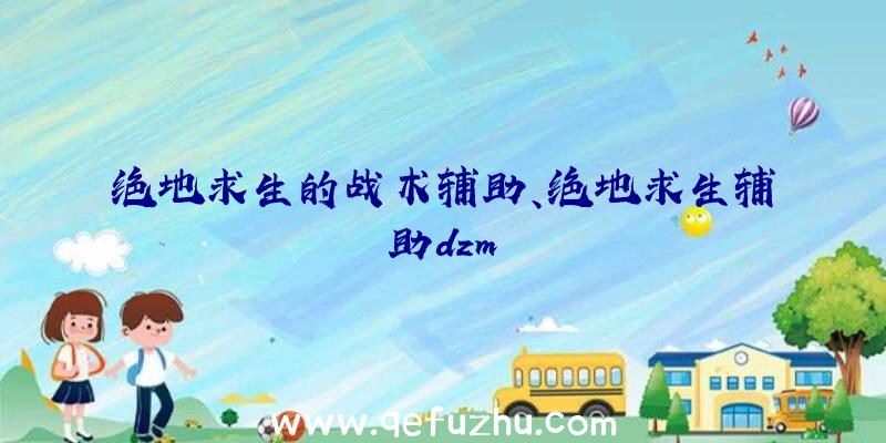 绝地求生的战术辅助、绝地求生辅助dzm