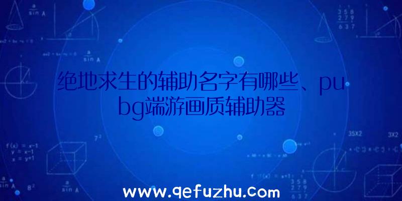 绝地求生的辅助名字有哪些、pubg端游画质辅助器