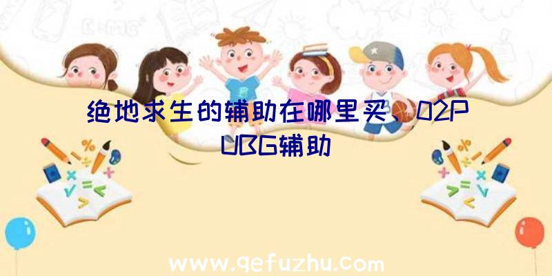 绝地求生的辅助在哪里买、02PUBG辅助