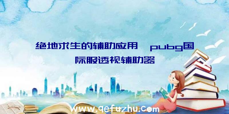 绝地求生的辅助应用、pubg国际服透视辅助器