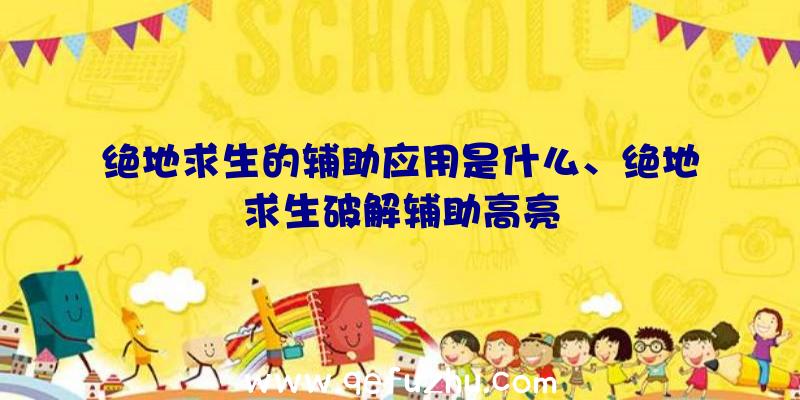 绝地求生的辅助应用是什么、绝地求生破解辅助高亮