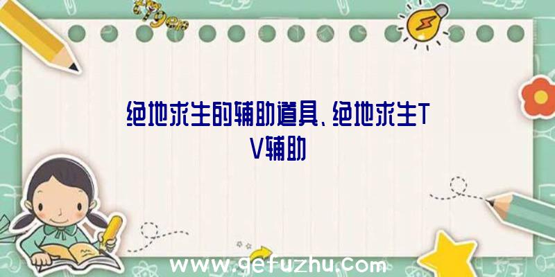 绝地求生的辅助道具、绝地求生TV辅助