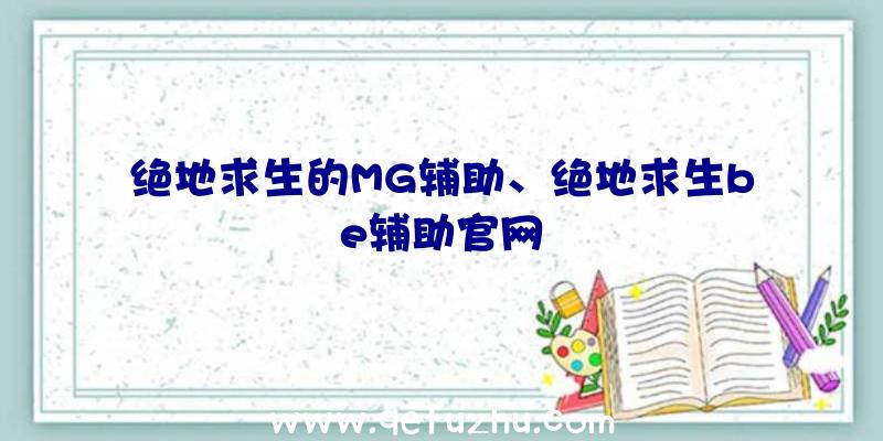 绝地求生的MG辅助、绝地求生be辅助官网