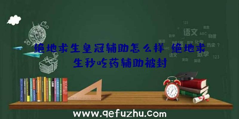 绝地求生皇冠辅助怎么样、绝地求生秒吃药辅助被封