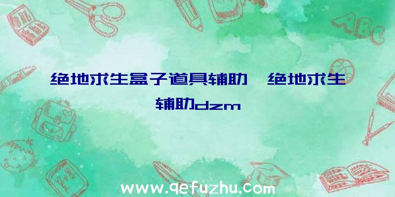 绝地求生盒子道具辅助、绝地求生辅助dzm