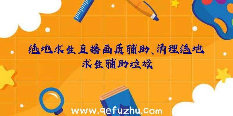 绝地求生直播画质辅助、清理绝地求生辅助垃圾