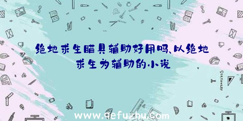 绝地求生瞄具辅助好用吗、以绝地求生为辅助的小说