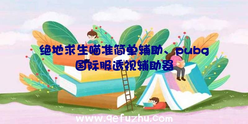 绝地求生瞄准简单辅助、pubg国际服透视辅助器