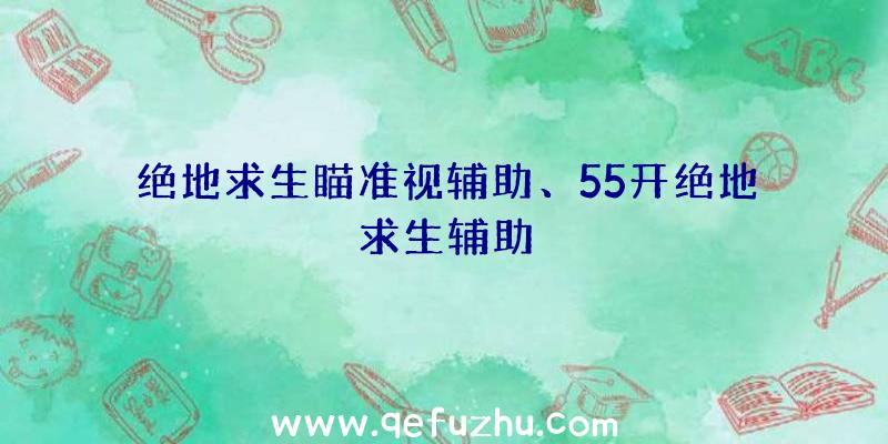 绝地求生瞄准视辅助、55开绝地求生辅助