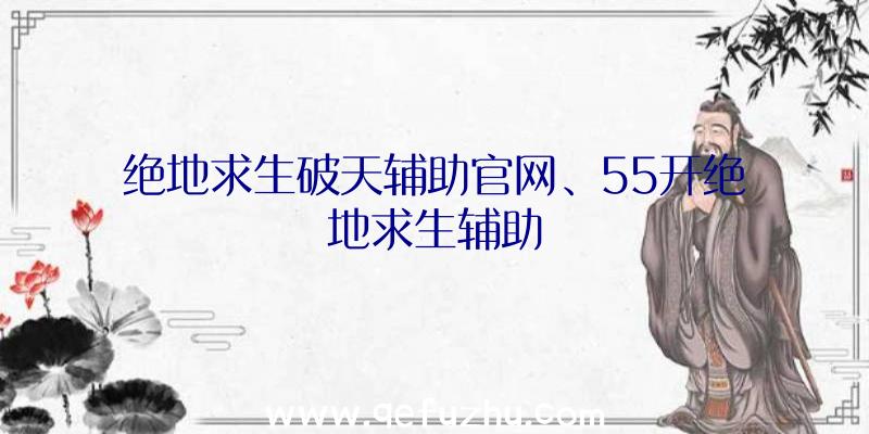 绝地求生破天辅助官网、55开绝地求生辅助