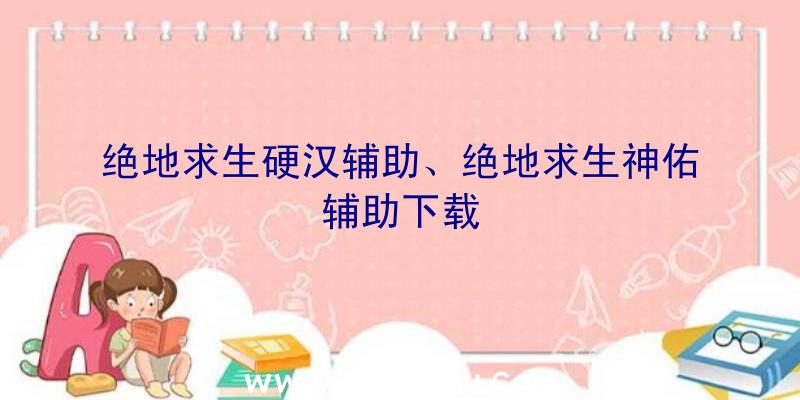 绝地求生硬汉辅助、绝地求生神佑辅助下载