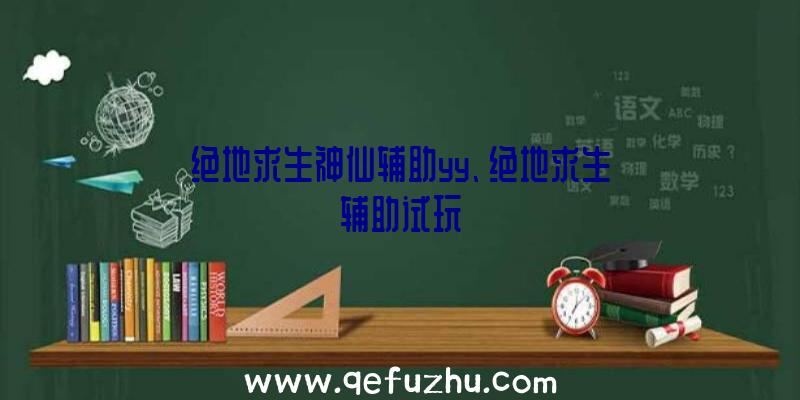 绝地求生神仙辅助yy、绝地求生辅助试玩