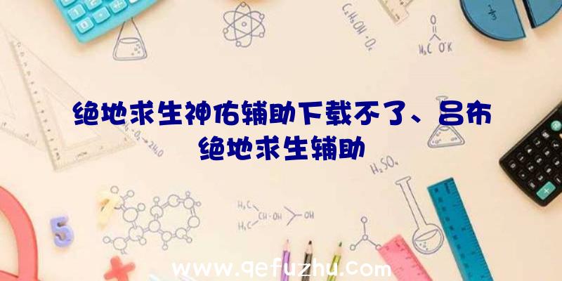 绝地求生神佑辅助下载不了、吕布绝地求生辅助