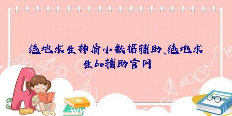 绝地求生神盾小数据辅助、绝地求生be辅助官网