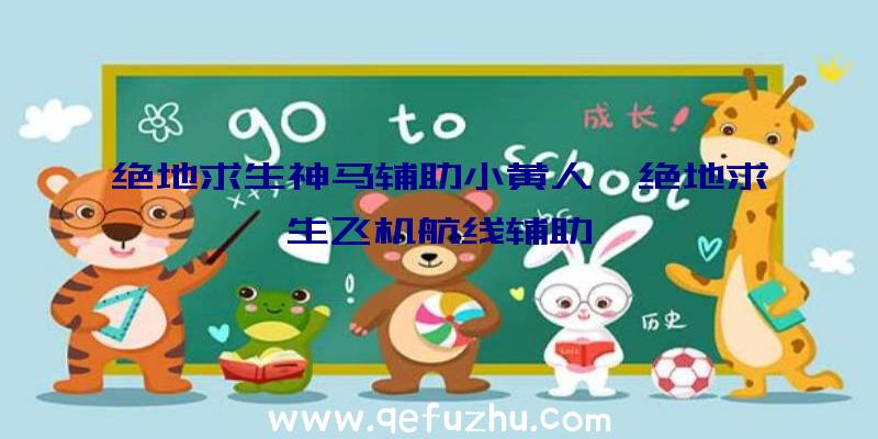 绝地求生神马辅助小黄人、绝地求生飞机航线辅助