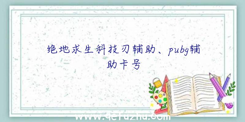 绝地求生科技刃辅助、pubg辅助卡号