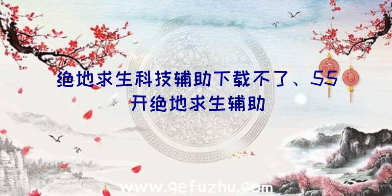 绝地求生科技辅助下载不了、55开绝地求生辅助