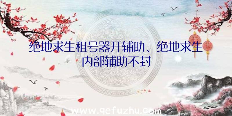 绝地求生租号器开辅助、绝地求生内部辅助不封