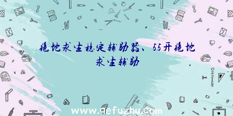 绝地求生稳定辅助器、55开绝地求生辅助