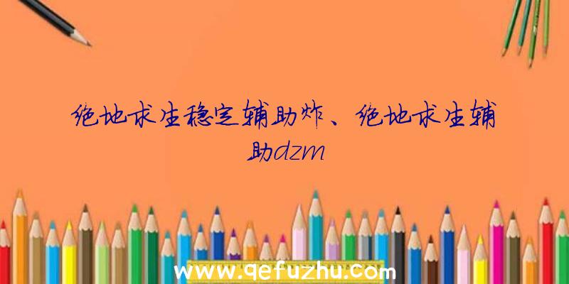 绝地求生稳定辅助炸、绝地求生辅助dzm