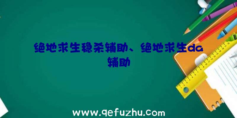 绝地求生稳杀辅助、绝地求生da辅助