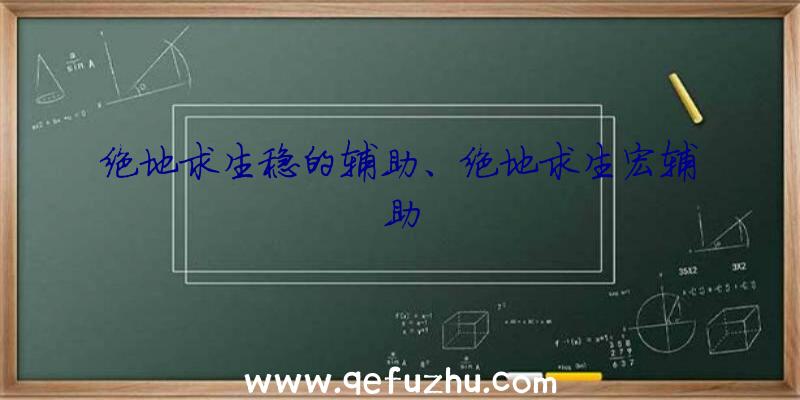 绝地求生稳的辅助、绝地求生宏辅助