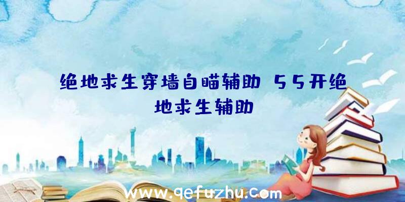 绝地求生穿墙自瞄辅助、55开绝地求生辅助