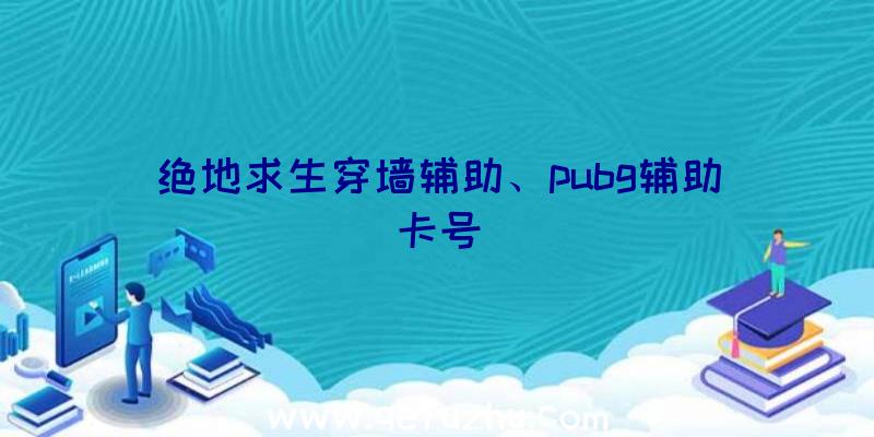 绝地求生穿墙辅助、pubg辅助卡号