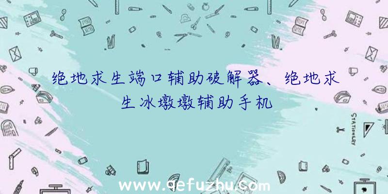 绝地求生端口辅助破解器、绝地求生冰墩墩辅助手机