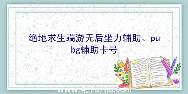 绝地求生端游无后坐力辅助、pubg辅助卡号