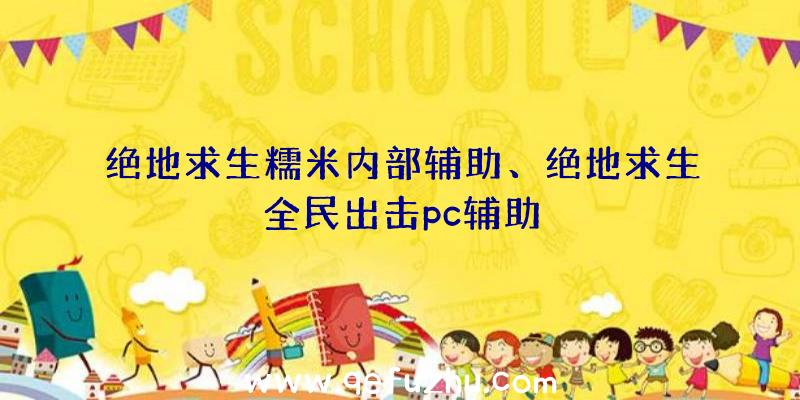 绝地求生糯米内部辅助、绝地求生全民出击pc辅助