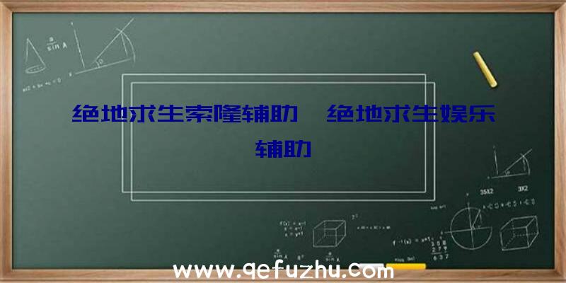 绝地求生索隆辅助、绝地求生娱乐辅助