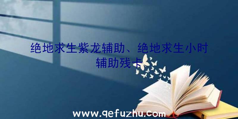 绝地求生紫龙辅助、绝地求生小时辅助残卡