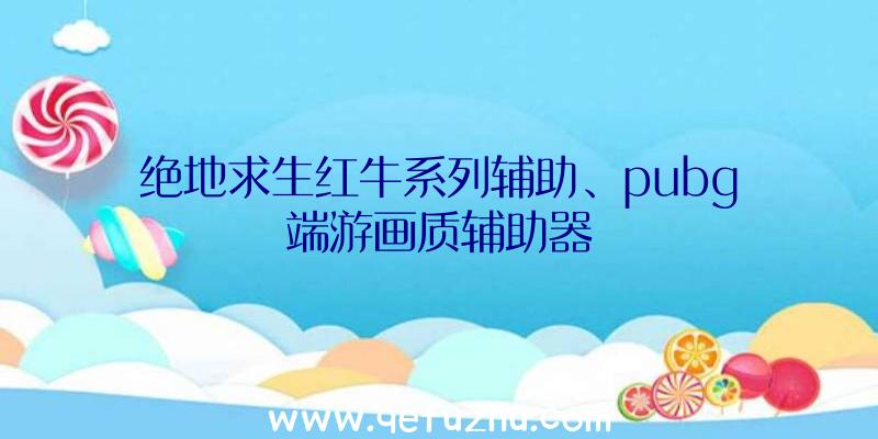 绝地求生红牛系列辅助、pubg端游画质辅助器