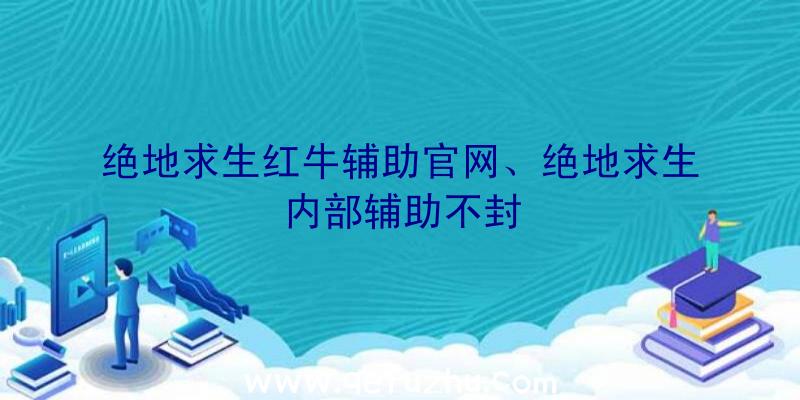 绝地求生红牛辅助官网、绝地求生内部辅助不封