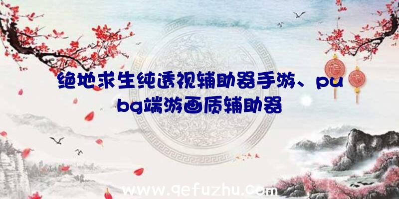 绝地求生纯透视辅助器手游、pubg端游画质辅助器