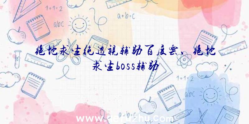 绝地求生纯透视辅助百度云、绝地求生boss辅助