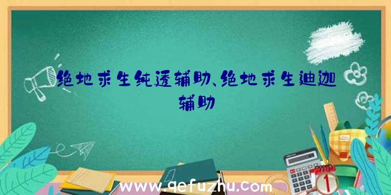 绝地求生纯透辅助、绝地求生迪迦辅助