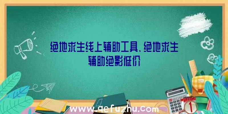 绝地求生线上辅助工具、绝地求生辅助绝影低价