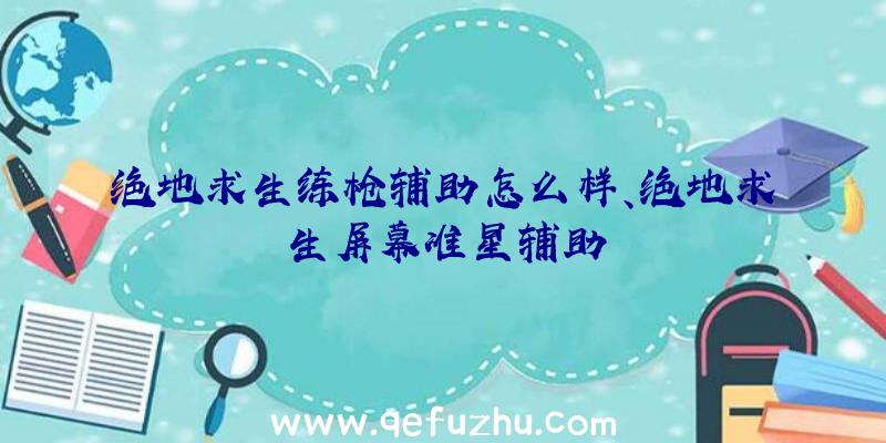 绝地求生练枪辅助怎么样、绝地求生屏幕准星辅助