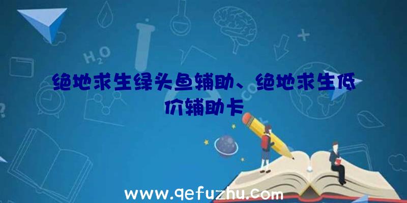 绝地求生绿头鱼辅助、绝地求生低价辅助卡