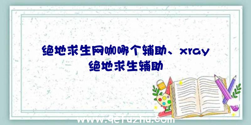 绝地求生网咖哪个辅助、xray绝地求生辅助