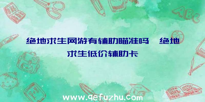 绝地求生网游有辅助瞄准吗、绝地求生低价辅助卡