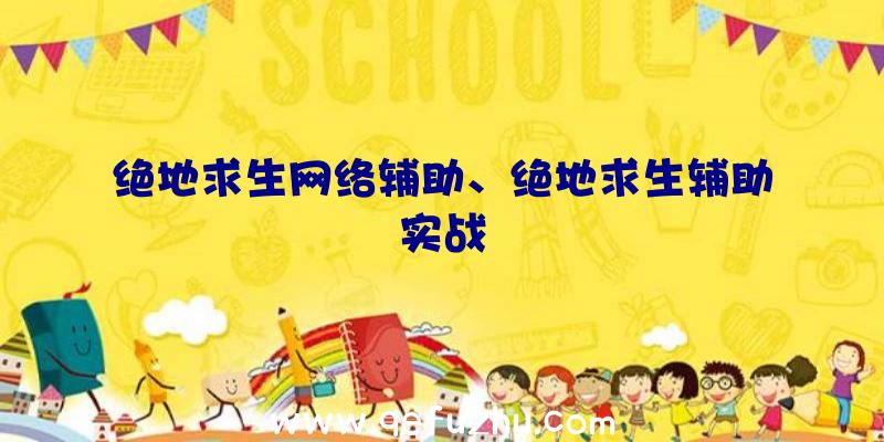 绝地求生网络辅助、绝地求生辅助实战