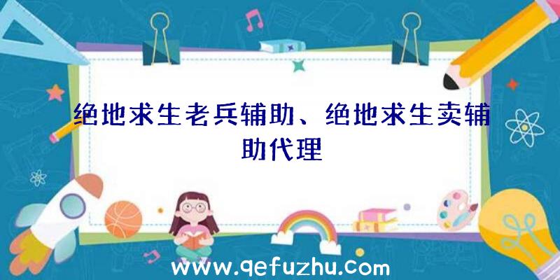 绝地求生老兵辅助、绝地求生卖辅助代理