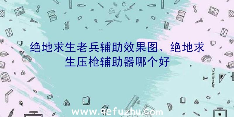 绝地求生老兵辅助效果图、绝地求生压枪辅助器哪个好