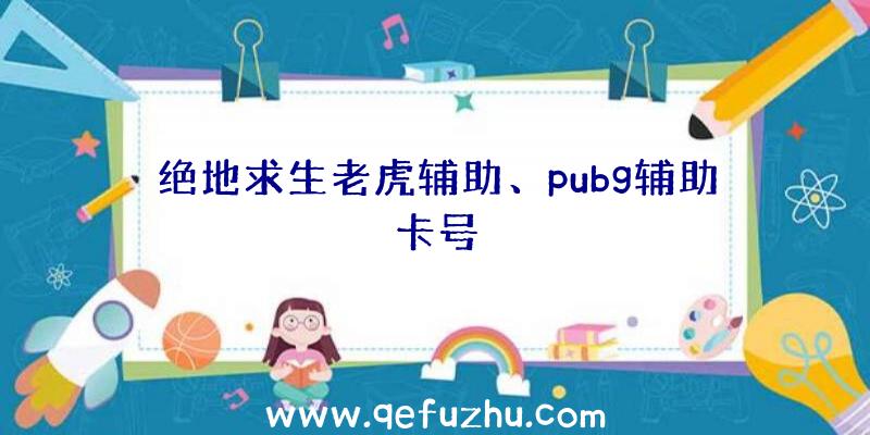 绝地求生老虎辅助、pubg辅助卡号