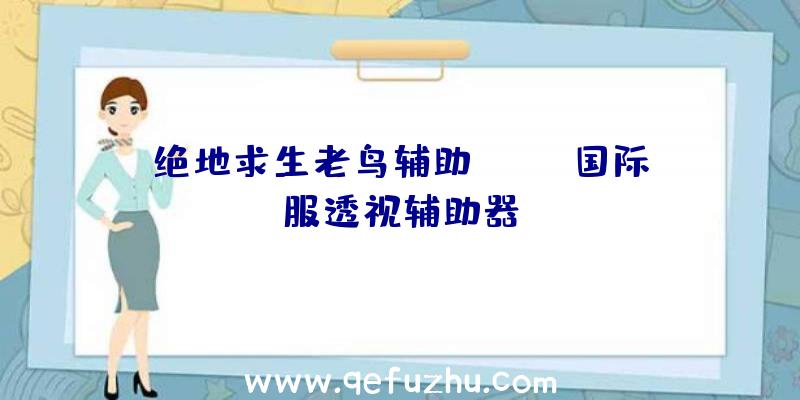 绝地求生老鸟辅助、pubg国际服透视辅助器