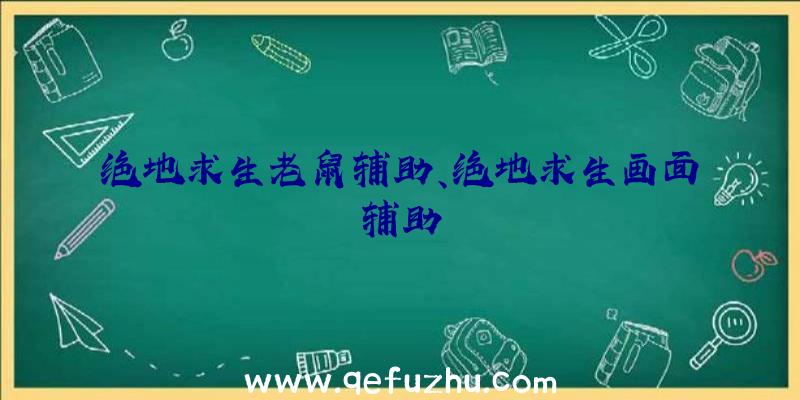 绝地求生老鼠辅助、绝地求生画面辅助