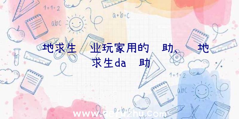 绝地求生职业玩家用的辅助、绝地求生da辅助